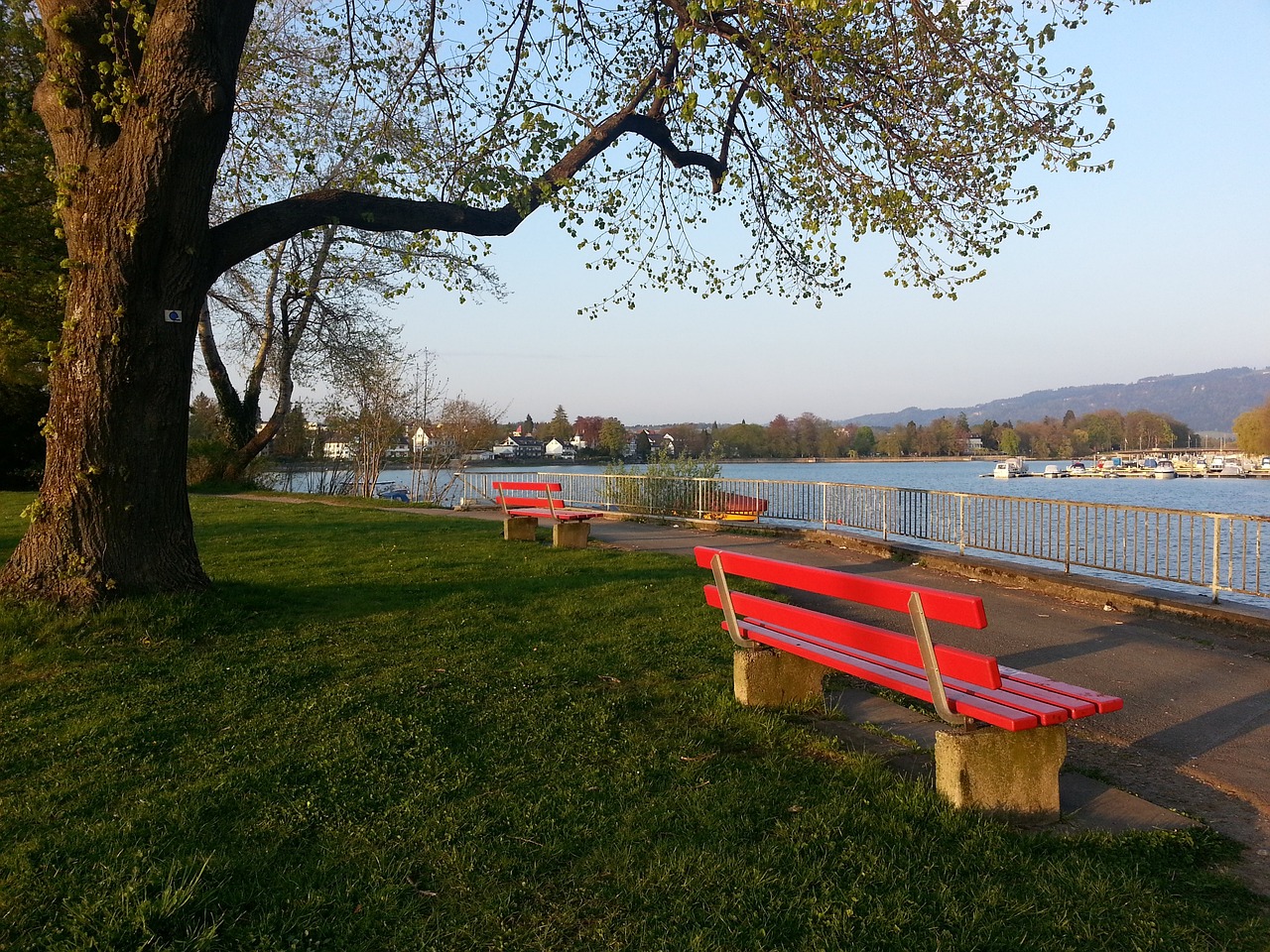 应对密集赛 应对密集赛