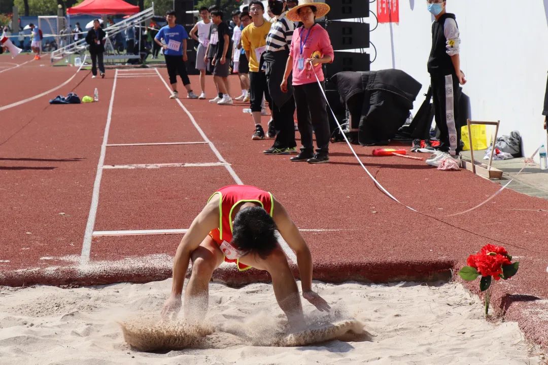 方案应该包 方案应该包